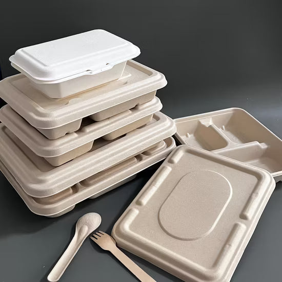 Bagasse Takeaway Box