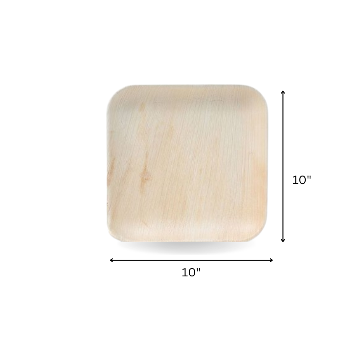 Areca leaf square plates 10x10" inch The Velocity Exports