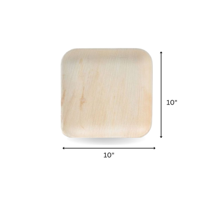 Areca leaf square plates 10x10" inch The Velocity Exports
