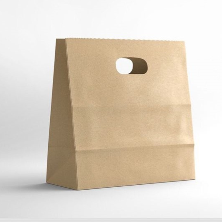 Brown Paper Bag D-Cut Handle 31x12x24